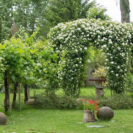 Ca'Bevilacqua Bed&Breakfast Bertinoro Εξωτερικό φωτογραφία