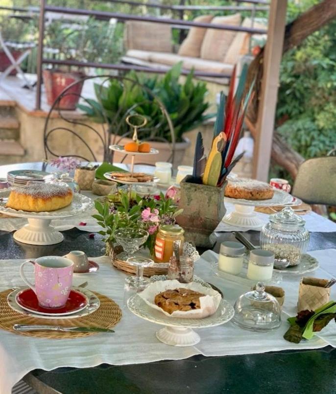 Ca'Bevilacqua Bed&Breakfast Bertinoro Εξωτερικό φωτογραφία
