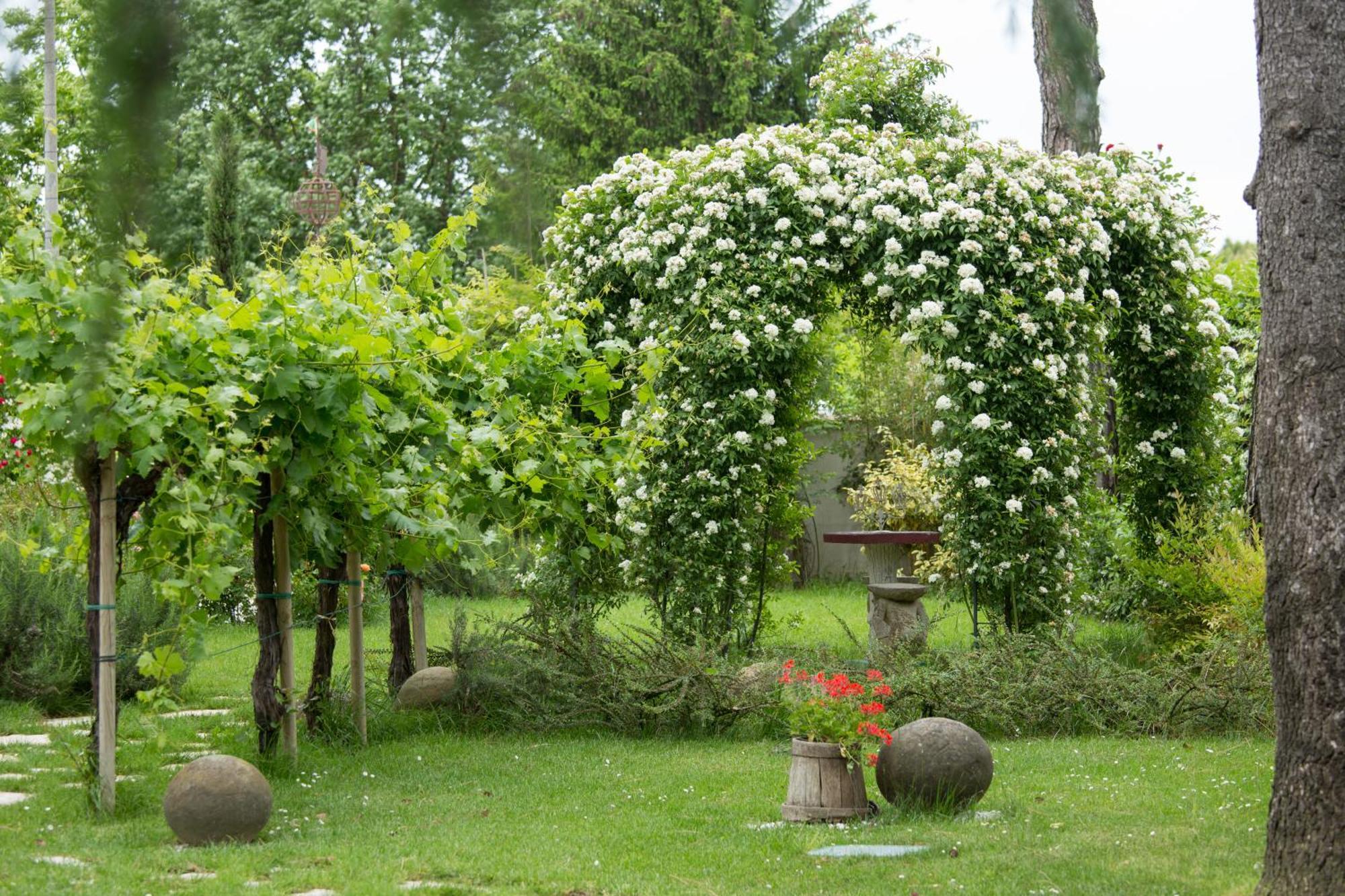 Ca'Bevilacqua Bed&Breakfast Bertinoro Εξωτερικό φωτογραφία