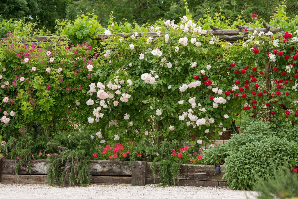 Ca'Bevilacqua Bed&Breakfast Bertinoro Εξωτερικό φωτογραφία