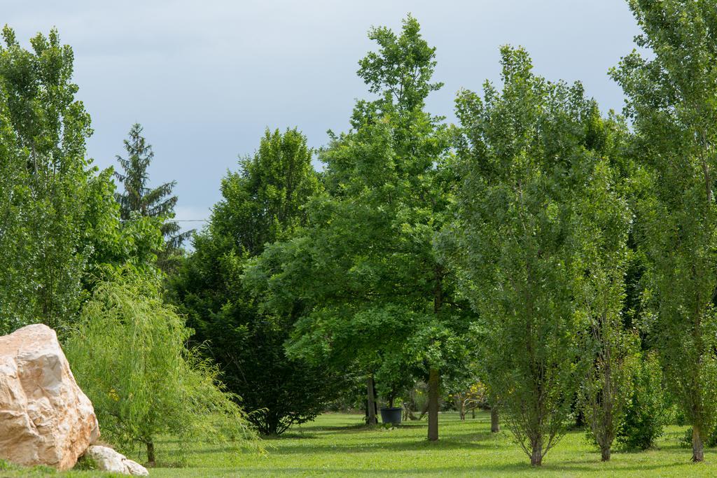 Ca'Bevilacqua Bed&Breakfast Bertinoro Εξωτερικό φωτογραφία