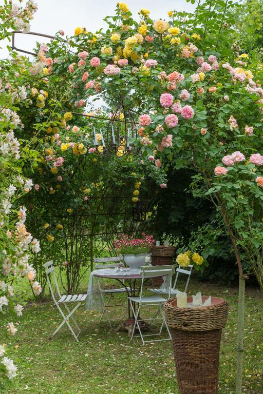Ca'Bevilacqua Bed&Breakfast Bertinoro Εξωτερικό φωτογραφία